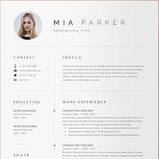 Secure your next job with a winning cv template. 7 95