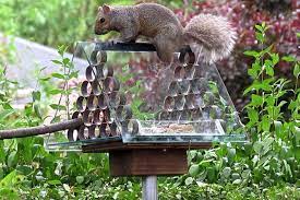 From the far end of the base. 10 Brilliant Diy Squirrel Proof Bird Feeder Ideas Squirrel Proof Bird Feeders Bird Feeders Homemade Bird Feeders