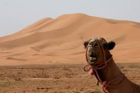 Deserts are actually defined as areas that recieve on average (annually) less than 250mm (or 10 inches) of rain. Carpeting Sahara With Wind And Solar Farms Could Make It Rain Ars Technica