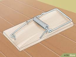 I suggest having the students work in groups of 3. 3 Ways To Adapt A Mousetrap Car For Distance Wikihow