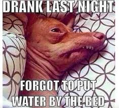 These Memes Have A Hilariously Low Alcohol Tolerance 58 Memes Good Morning Funny Pictures Funny Images Funny Pictures