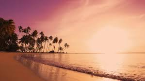Download in under 30 seconds. Yellow Sunset At The Beach Palm Trees Sunset Background Waves Sky And Yellow Sun Amazing Island By Lunyakin