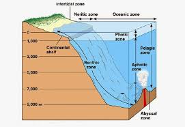 We did not find results for: Zonasi Ekosistem Laut Nusagates
