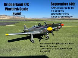 What's the best RC plane for someone who used to do some flying but it's  been some time? Any recommendations?? Thanks for any info!