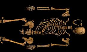 A Royal DNA Mystery, Five Centuries Later: UNH Professors Weigh In On Richard  III Findings | UNH Today