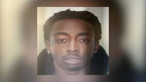 In Georgia and South Carolina, this ant's sting could kill you