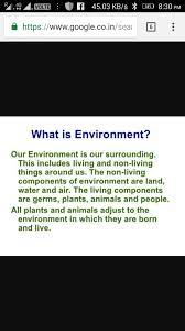 Maybe you would like to learn more about one of these? What Is Environment Brainly In