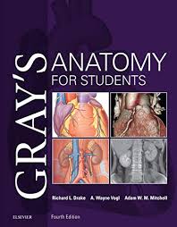 Great reference to a brief synopsis of the muscular anatomy and the general weaknesses of each muscle. 97 Best Anatomy Books Of All Time Bookauthority