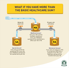 Cpfb I Have Saved The Basic Healthcare Sum Bhs In My Medisave Account What Happens To My Medisave Savings Above The Bhs