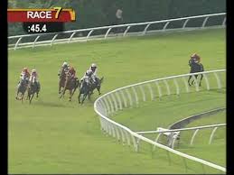 We did not find results for: Race Results Selangor Turf Club