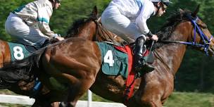 Regular Raceday
