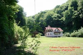 Oferta cazare pensiunea casa baroca, cazare sighisoara, cazare mures, cazare transilvania, pensiuni mures, pensiuni transilvania. Sighisoara Cabana Caprioarei Sighisoara