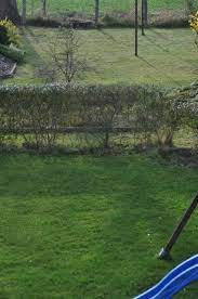 ✓ nach winter im frühjahr, am morgen ab der ideale zeitpunkt kann beim rasen mähen entscheidend sein. Rasenpflege Im Fruhjahr 2019 Wann Dungen Mahen Vertikutieren Hausbau Blog