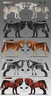 Hundchen Werden Von Einem Kfc Mitarbeiter Gemacht Education Animal Drawings Canine Art Animal Art