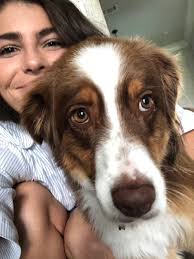 Peyton Shaffer (@PeytonShaffer22)