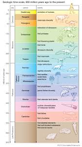 Pin By Panisara Sutisukon On Ciencias Geologic Time Scale Geology History Of Earth