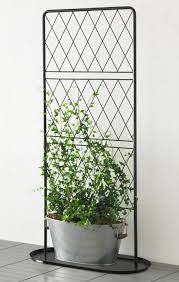 Maybe you would like to learn more about one of these? Home Furniture Store Modern Furnishings Decor Plants Climbing Plants Trellis