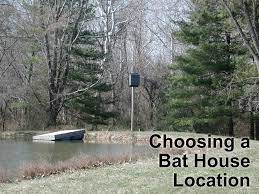 The diy option requires you to purchase and correctly use bird control products. How To Choose A Bat House Location Bat Conservation And Management Inc