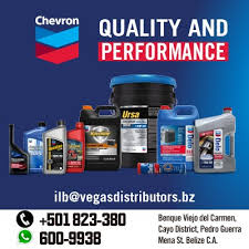 Minimalist bedroom ideas reddit streams ufc 246. Corozal Bay Representative Elvia Vega Being Sworn In This Morning