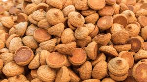 Many symbolic foods are eaten on passover to honor. 10 Things You Didn T Know About Passover Israel21c