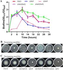 Löydä jäsenen afler resistencia (afler) nettishakkiprofiili chess.comista. A Two Component System Fles Fler Regulates Multiple Virulence Related Traits In Pseudomonas Aeruginosa Biorxiv