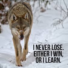 Check spelling or type a new query. Wolf Winter Sunday Morning Quotes And Images 20 Strong Wolf Quotes To Pump You Up Wolves Wolfpack Quotes Dogtrainingobedienceschool Com