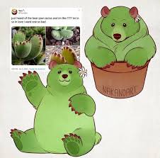 Wanted to draw some plants and just draw something quick. Very Cute Bear Paw Drawing Succulents