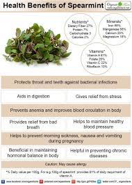 Pin On Alfa Mint Herbal Tea