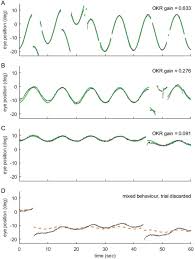 We did not find results for: Gaze Stabilisation Behaviour Is Anisotropic Across Visual Field Locations In Zebrafish Biorxiv