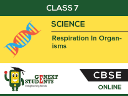 Image result for respiration in organisms