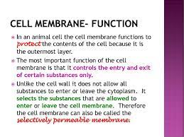 Membrane proteins are diverse in terms of structure, position in the membrane and function. Knowledge Area Life At The Molecular Cellular And Tissue Level Ppt Download