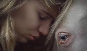 Wohnungssuche in Wermelskirchen fast unmöglich!