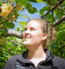 At 24, Emily manages 18 orchards