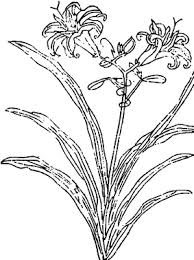 In english and simplified and traditional chinese. Biology Springerlink