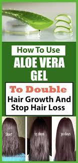 How To Use Aloe Vera Gel For Hair Growth Aloe Vera Gel For Hair Growth Aloe For Hair Aloe Vera For Hair