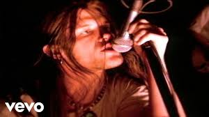 Blind Melon Tones Of Home Official Music Video In 2020 Youtube Videos Music Music Videos Melon