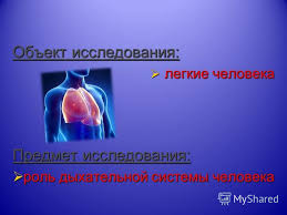 Este benefic in afectiuni ale cailor respiratorii superioare, insotite de procese inflamatorii, mai ales la copii si batrani. Prezentarea RespiraÈ›iei Prezentarea Organelor Respiratorii Umane Sistemul Respirator Uman