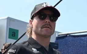 Aguacate criollo en México: calidad superior al Hass