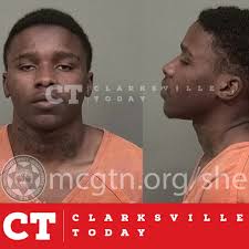 Dashawn James charged with animal abuse after starving dog found