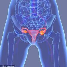 Many women of all ages will have an ovarian. Ovarian Cysts Increase A Woman S Risk Of Mental Health Issues Daily Mail Online