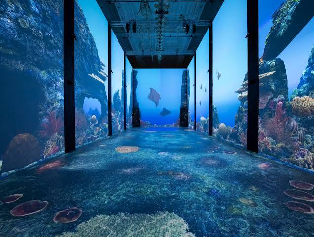 D&eacute;couvrir le mus&eacute;e - Mus&eacute;e Oc&eacute;anographique de Monaco