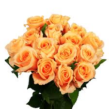 Find all the latest pughs flowers coupons, discounts, and promo codes for new year holiday 2021 at couponannie. M S Flowers Code
