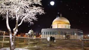 أسعار صرف العُملات مصرع عائلة فلسطينية من ثمانية أفراد في حريق بالسعودية الوزن ليس مقياسا دقيقا للصحة. ÙÙ„Ø³Ø·ÙŠÙ† Ø¹Ù… Ø¨ØªØ´ØªÙŠ Ø§Ù„Ø¯Ù†ÙŠØ§ Ø«Ù„Ø¬