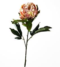 Check spelling or type a new query. Artificial Peony Flower Long Stem Pale Pink Www Floralsundries Com Trevor Green Floral Sundries