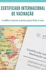 Desde o inicio de 2019, a anvisa liberou a emissão do. Como Tirar O Certificado Internacional De Vacinacao Te Vejo Pelo Mundo