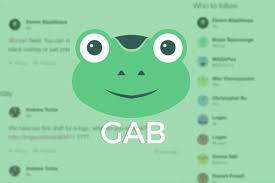 American heritage® dictionary of the english language, fifth edition. Google Removes Gab App For Violating Hate Speech Policy The Verge