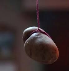 Panic actually originates from a greek myth. User Blog A Potato Flew Around My Room Before You Came A Potato Flew Around My Room Before You Came Total Roleplay Drama Wiki Fandom