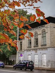 This category is located at category:roset house in iași. Muzeul De Istorie NaturalÄƒ IaÈ™i Din IaÈ™i Planiada