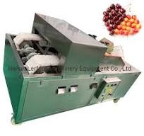 Fully Automatic Cherry Lychee Apple Olive Pitting Machine