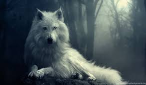 White wolf wallpaper 1920x1080 white, wolf. Werewolf 3d Wolf Wallpaper Hd Wallpapershit